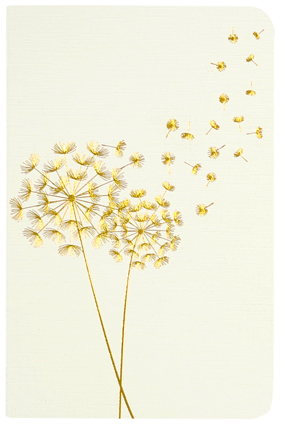 Jotter Mini Notebooks: Dandelion Wishes