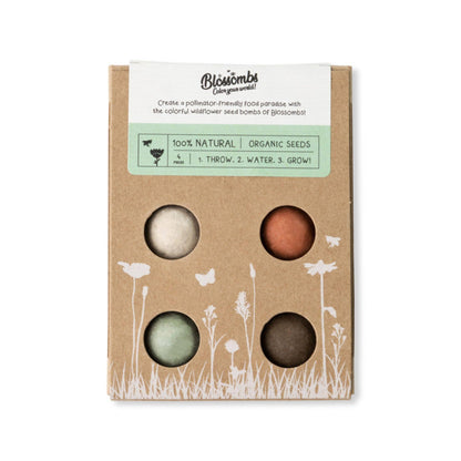 Buzzy Seeds Grow Gifts - Mini Wildflower Seed Box – 4 Seed Bomb Gift Set