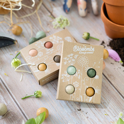 Buzzy Seeds Grow Gifts - Mini Wildflower Seed Box – 4 Seed Bomb Gift Set