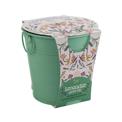 Buzzy Seeds Grow Gifts - Painted Flower Grow Pail – Lavender Indoor Garden Gift